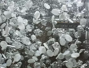 Biofilm supports in an AnoxKaldnes Hybas tank