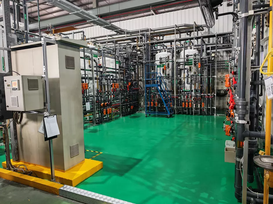 Malaysia Penang Regent Plant